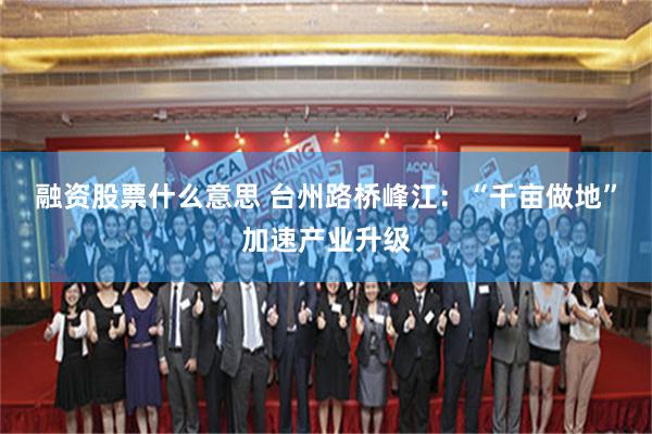融资股票什么意思 台州路桥峰江：“千亩做地”加速产业升级