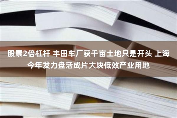 股票2倍杠杆 丰田车厂获千亩土地只是开头 上海今年发力盘活成片大块低效产业用地