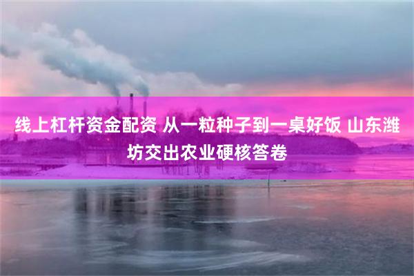 线上杠杆资金配资 从一粒种子到一桌好饭 山东潍坊交出农业硬核答卷