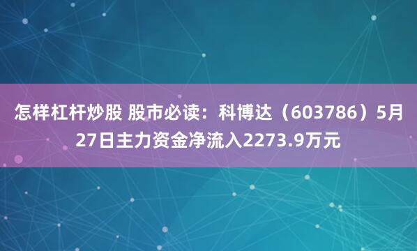 怎样杠杆炒股 股市必读：科博达（603786）5月27日主力资金净流入2273.9万元