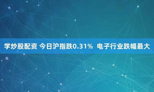 学炒股配资 今日沪指跌0.31%  电子行业跌幅最大