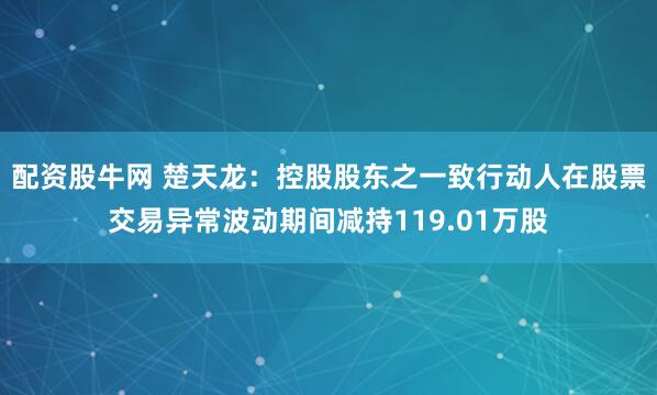 配资股牛网 楚天龙：控股股东之一致行动人在股票交易异常波动期间减持119.01万股